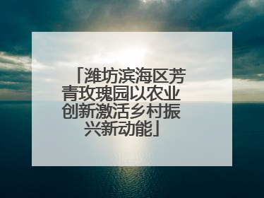 潍坊滨海区芳青玫瑰园以农业创新激活乡村振兴新动能