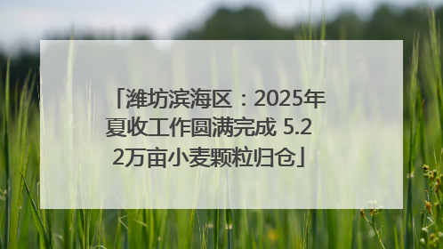潍坊滨海区：2025年夏收工作圆满完成 5.22万亩小麦颗粒归仓