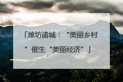 潍坊诸城：“美丽乡村”催生“美丽经济”
