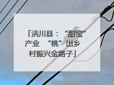 潢川县：“甜蜜”产业  “桃”出乡村振兴金路子