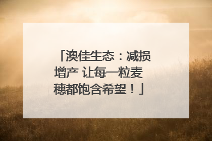 澳佳生态：减损增产 让每一粒麦穗都饱含希望！