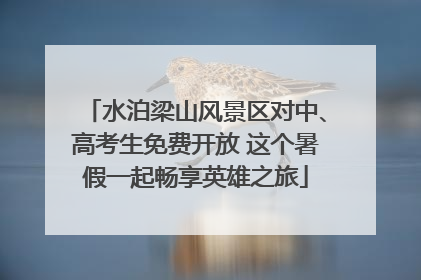 水泊梁山风景区对中、高考生免费开放 这个暑假一起畅享英雄之旅