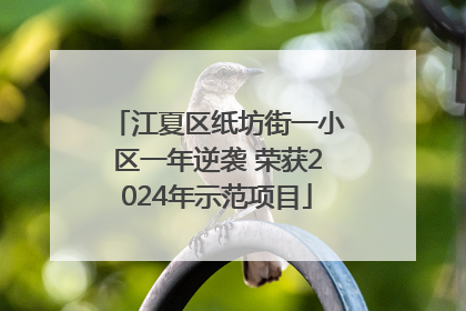 江夏区纸坊街一小区一年逆袭 荣获2024年示范项目