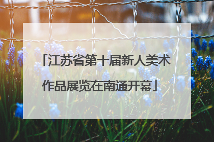 江苏省第十届新人美术作品展览在南通开幕