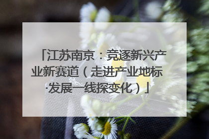 江苏南京：竞逐新兴产业新赛道（走进产业地标·发展一线探变化）
