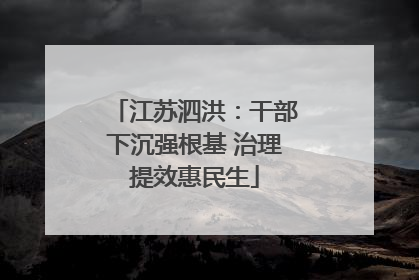 江苏泗洪：干部下沉强根基 治理提效惠民生