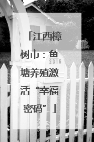江西樟树市：鱼塘养殖激活“幸福密码”