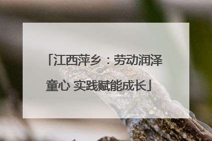 江西萍乡：劳动润泽童心 实践赋能成长