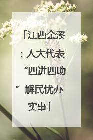 江西金溪：人大代表“四进四助”解民忧办实事