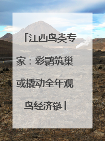 江西鸟类专家：彩鹮筑巢或撬动全年观鸟经济链