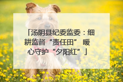 汤阴县纪委监委：细耕监督“责任田” 暖心守护“夕阳红”