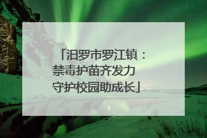 汨罗市罗江镇：禁毒护苗齐发力 守护校园助成长