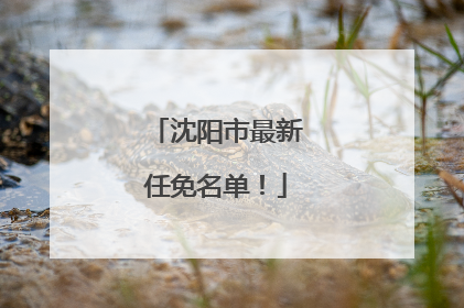 沈阳市最新任免名单！