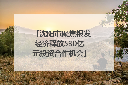 沈阳市聚焦银发经济释放530亿元投资合作机会