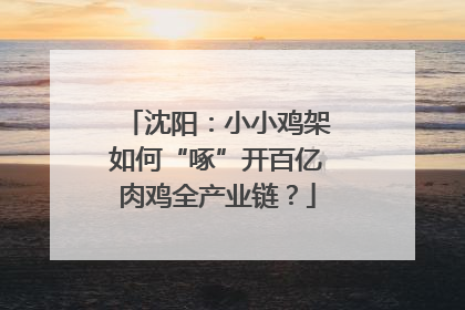 沈阳：小小鸡架如何“啄”开百亿肉鸡全产业链？