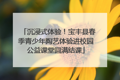 沉浸式体验！宝丰县春季青少年陶艺体验进校园公益课堂圆满结课