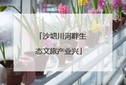 沙塘川河畔生态文旅产业兴