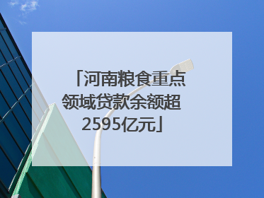 河南粮食重点领域贷款余额超2595亿元