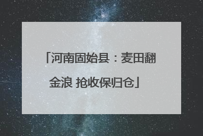 河南固始县：麦田翻金浪 抢收保归仓