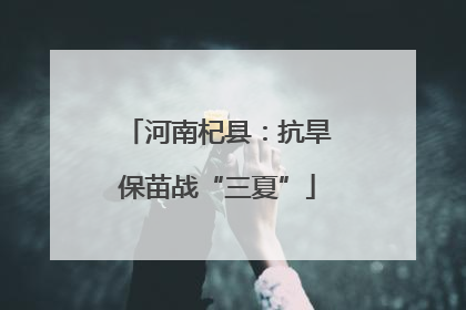 河南杞县：抗旱保苗战“三夏”