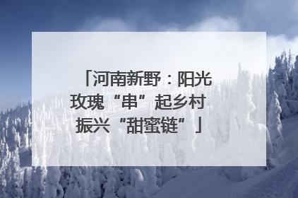 河南新野：阳光玫瑰“串”起乡村振兴“甜蜜链”