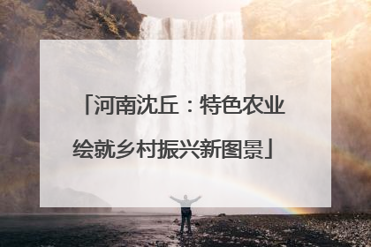 河南沈丘：特色农业绘就乡村振兴新图景