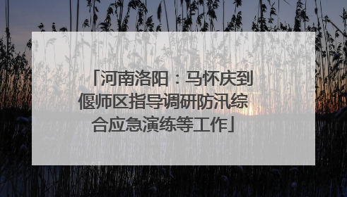 河南洛阳：马怀庆到偃师区指导调研防汛综合应急演练等工作