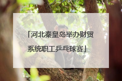 河北秦皇岛举办财贸系统职工乒乓球赛