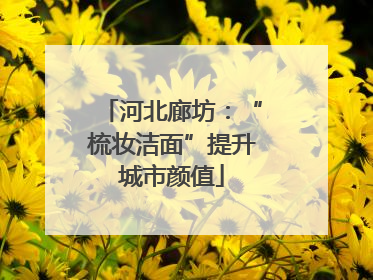 河北廊坊：“梳妆洁面”提升城市颜值