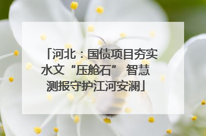 河北：国债项目夯实水文“压舱石” 智慧测报守护江河安澜