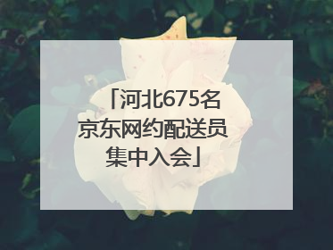河北675名京东网约配送员集中入会