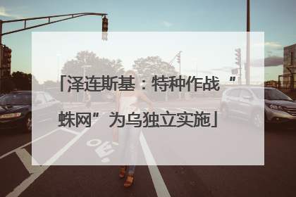 泽连斯基：特种作战“蛛网”为乌独立实施