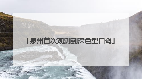 泉州首次观测到深色型白鹭