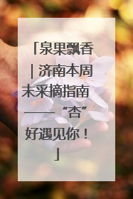 泉果飘香｜济南本周末采摘指南——“杏”好遇见你！