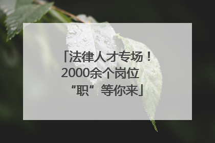 法律人才专场！2000余个岗位“职”等你来