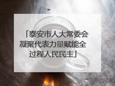 泰安市人大常委会凝聚代表力量赋能全过程人民民主