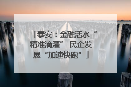 泰安：金融活水“精准滴灌” 民企发展“加速快跑”