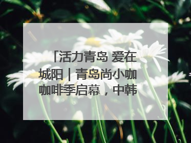 活力青岛 爱在城阳｜青岛尚小咖咖啡季启幕，中韩消费新场景点燃夏日热情