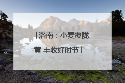 洛南：小麦覆陇黄 丰收好时节
