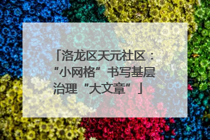 洛龙区天元社区：“小网格”书写基层治理“大文章”