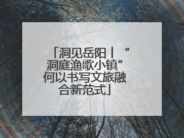 洞见岳阳丨“洞庭渔歌小镇”何以书写文旅融合新范式