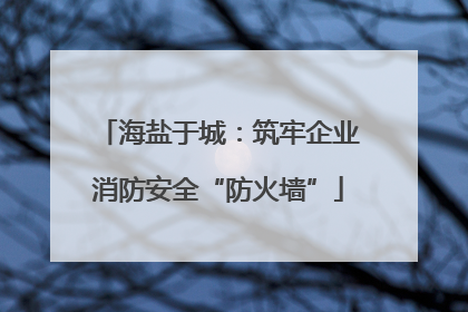 海盐于城：筑牢企业消防安全“防火墙”