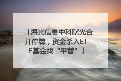 海光信息中科曙光合并停牌，资金杀入ETF基金找“平替”