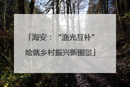 海安：“渔光互补” 绘就乡村振兴新图景