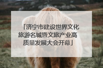 济宁市建设世界文化旅游名城暨文旅产业高质量发展大会开幕