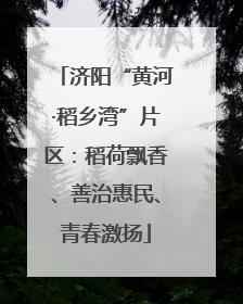 济阳“黄河·稻乡湾”片区：稻荷飘香、善治惠民、青春激扬