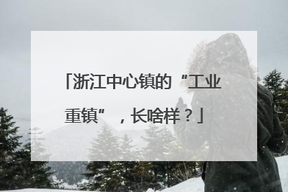 浙江中心镇的“工业重镇”，长啥样？