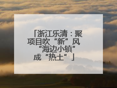 浙江乐清：聚项目吹“新”风 “海边小镇”成“热土”