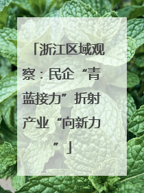 浙江区域观察：民企“青蓝接力”折射产业“向新力”
