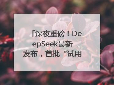 深夜重磅！DeepSeek最新发布，首批“试用体验”出炉→
